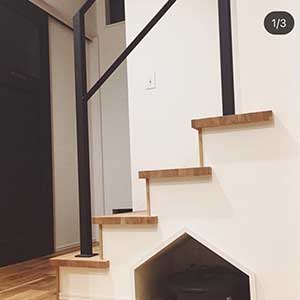 メディア情報